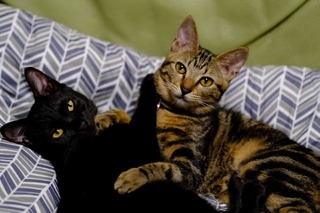 DSCF1455.jpg