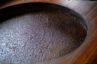 DSCF1769.jpg