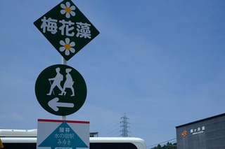 DSCF1772.jpg