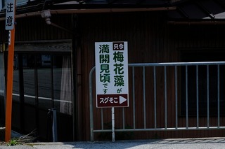DSCF1776.jpg