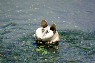 DSCF1791.jpg