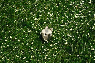 DSCF1793.jpg