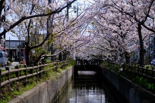 DSCF1832.jpg