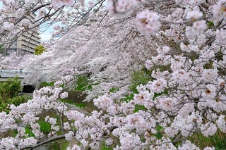 DSCF1841.jpg