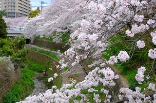 DSCF1843.jpg