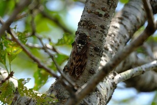 DSCF1845.jpg
