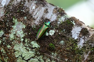 DSCF1848.jpg