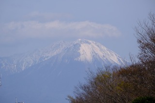 DSCF1854.jpg