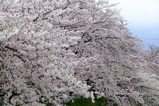 DSCF1865.jpg