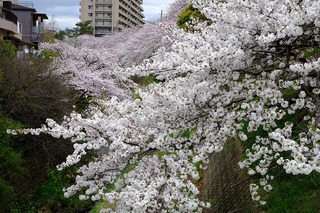 DSCF1871.jpg