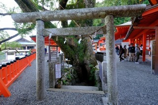 DSCF2051.jpg