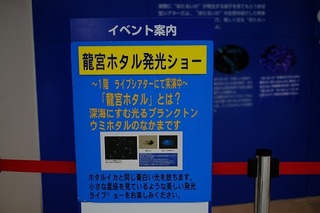 DSCF2078.jpg