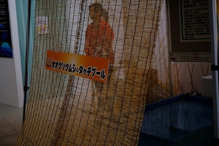 DSCF2079.jpg