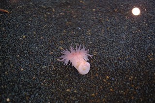 DSCF2081.jpg