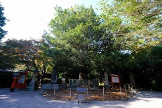 DSCF2085.jpg