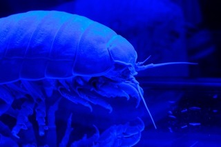 DSCF2091.jpg