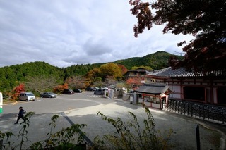 DSCF2093.jpg