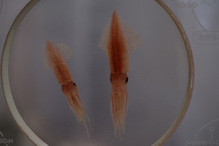DSCF2093.jpg