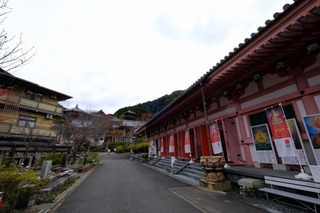 DSCF2094.jpg