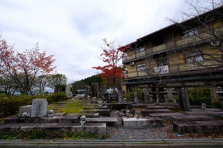 DSCF2095.jpg