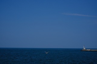 DSCF2103.jpg