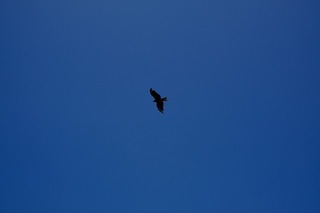 DSCF2104.jpg