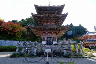DSCF2120.jpg