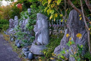 DSCF2130.jpg