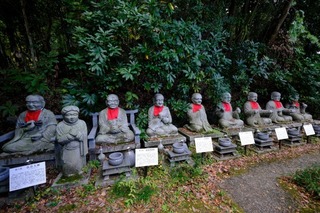 DSCF2132.jpg