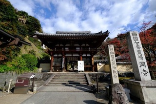 DSCF2137.jpg