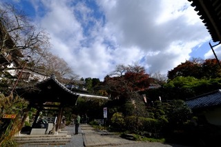 DSCF2138.jpg