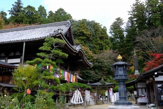 DSCF2145.jpg