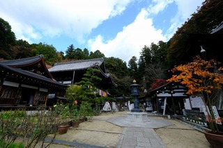 DSCF2146.jpg