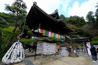 DSCF2147.jpg