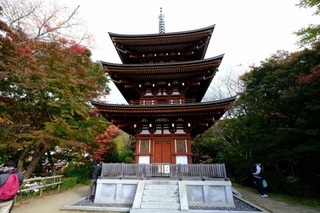 DSCF2154.jpg