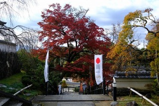 DSCF2156.jpg