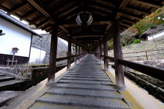 DSCF2173.jpg