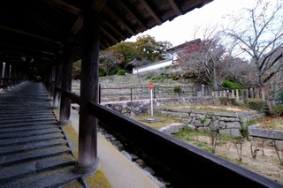 DSCF2174.jpg