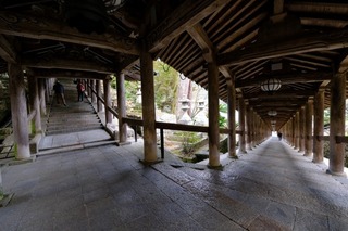DSCF2176.jpg