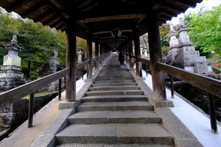 DSCF2179.jpg