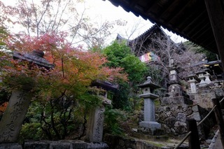 DSCF2180.jpg