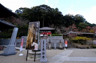 DSCF2181.jpg