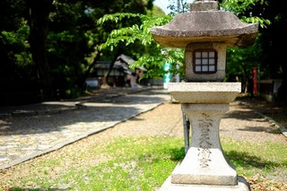 DSCF2182.jpg
