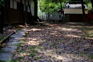 DSCF2187.jpg
