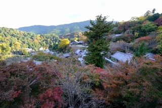 DSCF2188.jpg