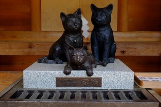DSCF2193.jpg