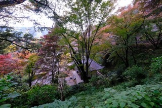 DSCF2198.jpg