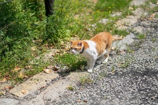 DSCF2200-1.jpg
