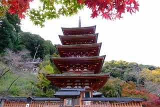 DSCF2204.jpg
