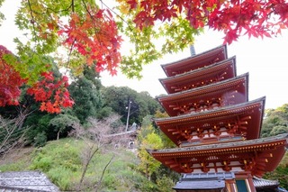 DSCF2205.jpg